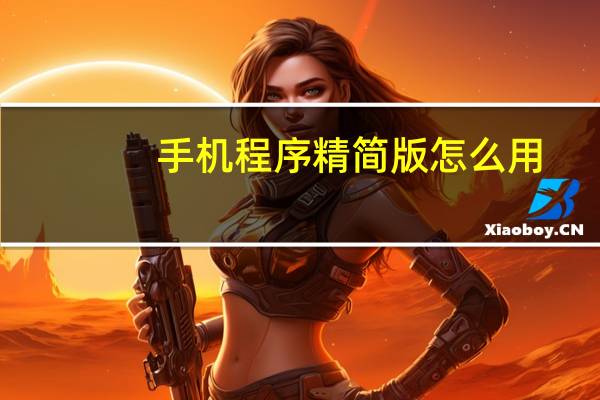 手机程序精简版怎么用