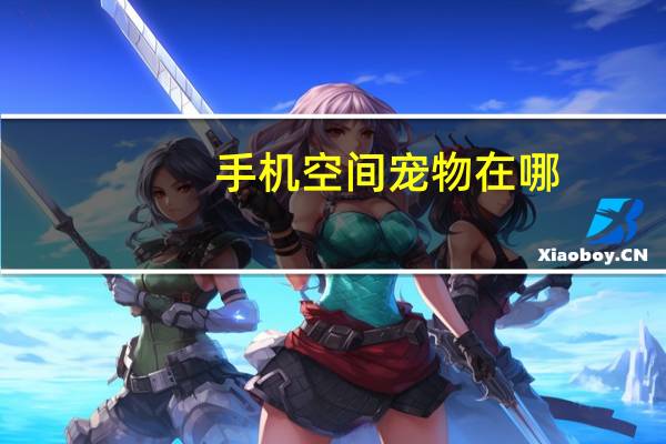 手机空间宠物在哪
