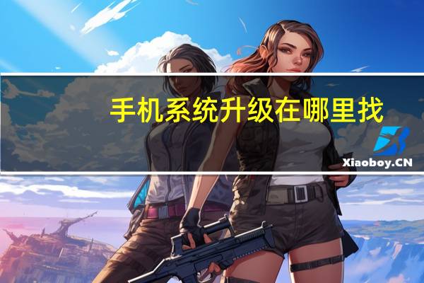手机系统升级在哪里找
