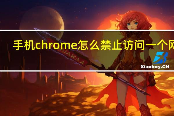 手机chrome怎么禁止访问一个网站