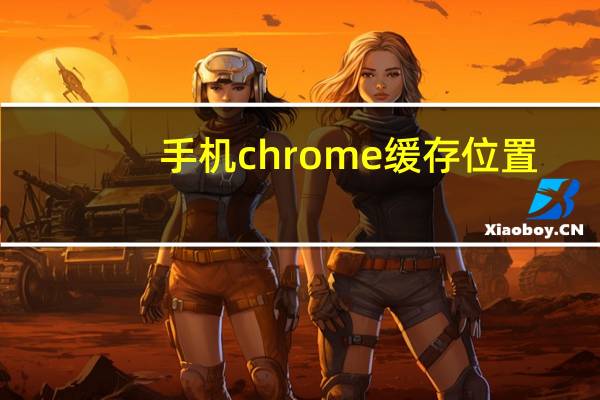 手机chrome缓存位置