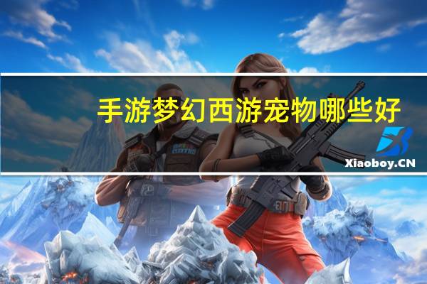 手游梦幻西游宠物哪些好