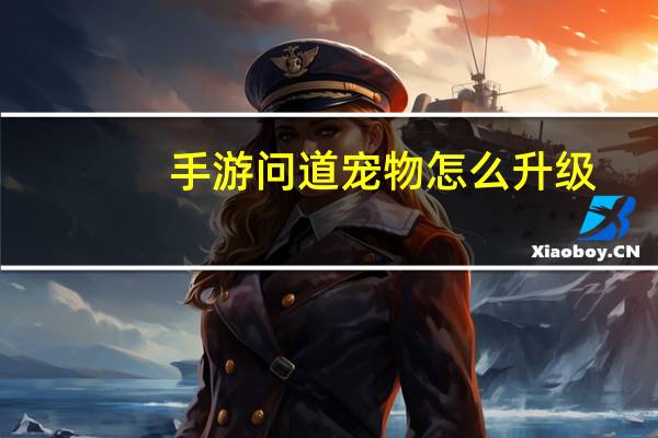 手游问道宠物怎么升级