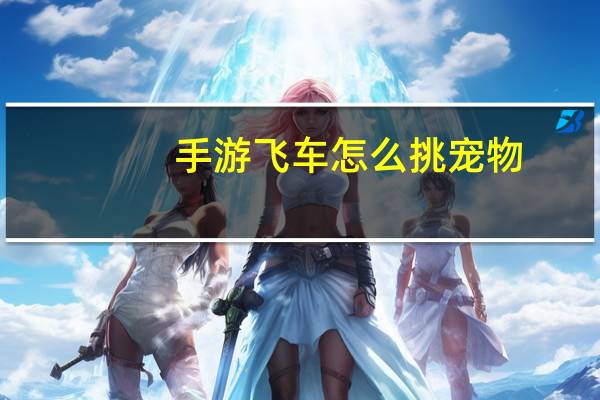 手游飞车怎么挑宠物