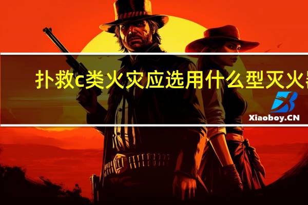 扑救c类火灾应选用什么型灭火器