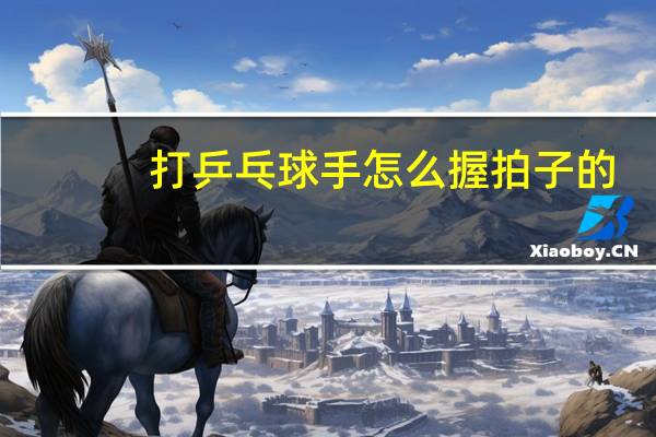打乒乓球手怎么握拍子的