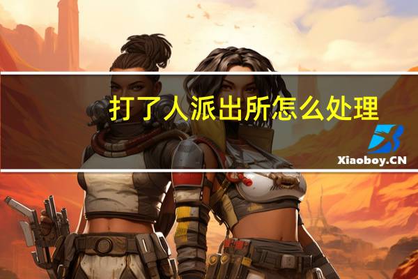 打了人派出所怎么处理