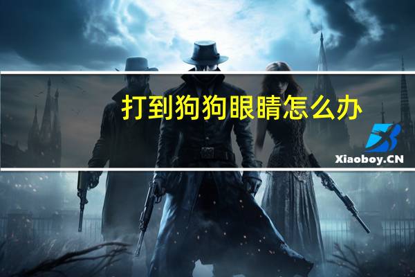 打到狗狗眼睛怎么办
