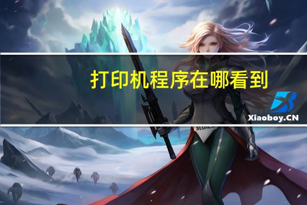 打印机程序在哪看到