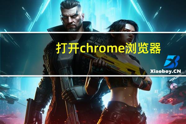 打开chrome浏览器