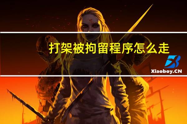 打架被拘留程序怎么走