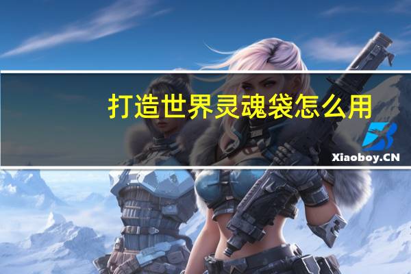 打造世界灵魂袋怎么用