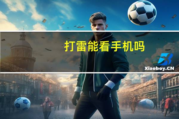打雷能看手机吗