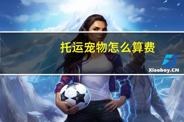 托运宠物怎么算费