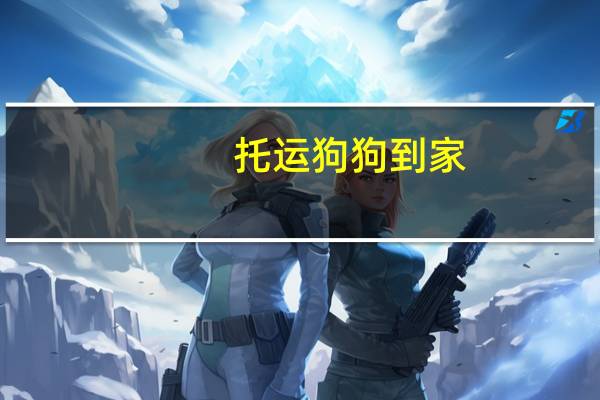 托运狗狗到家