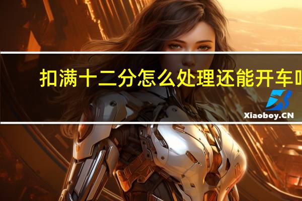 扣满十二分怎么处理还能开车吗