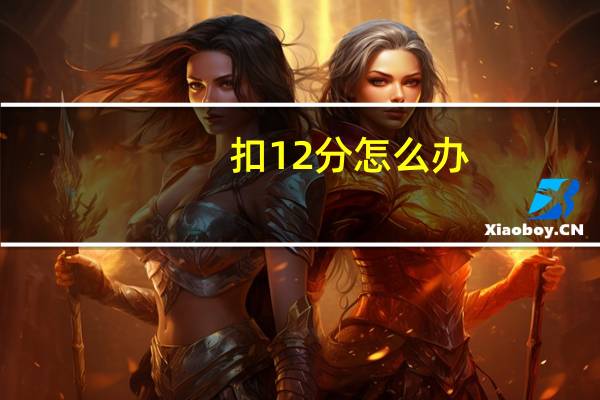 扣12分怎么办