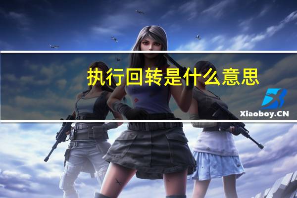执行回转是什么意思
