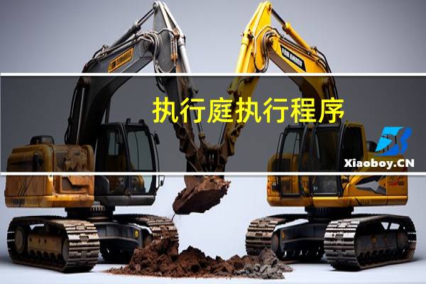 执行庭执行程序