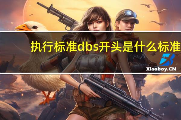 执行标准dbs开头是什么标准