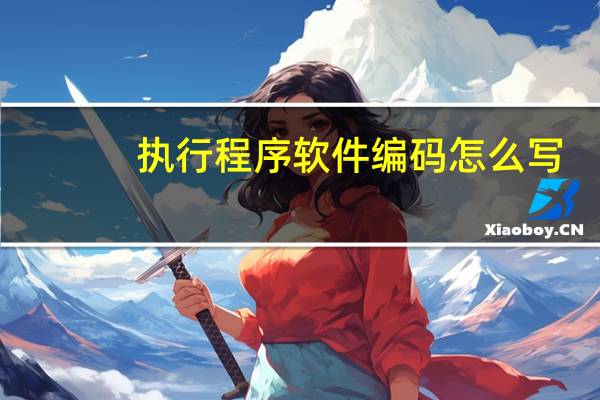 执行程序软件编码怎么写