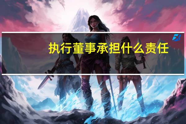 执行董事承担什么责任