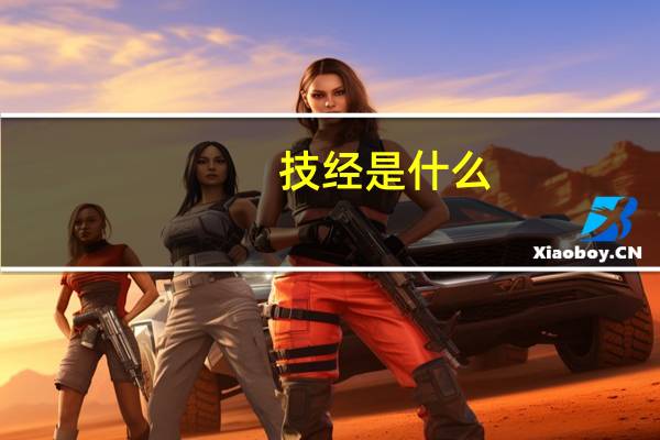技经是什么