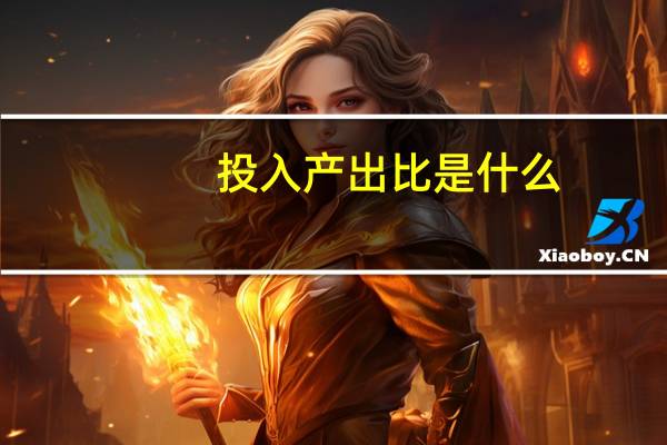 投入产出比是什么