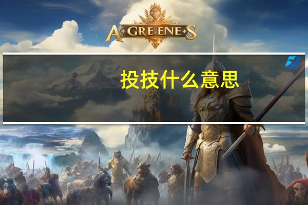 投技什么意思