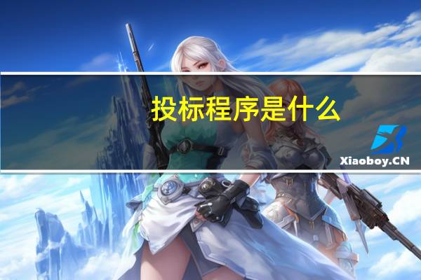 投标程序是什么