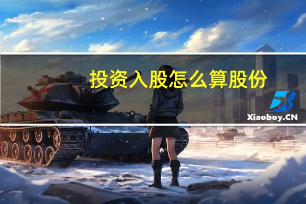 投资入股怎么算股份