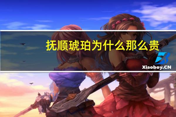 抚顺琥珀为什么那么贵