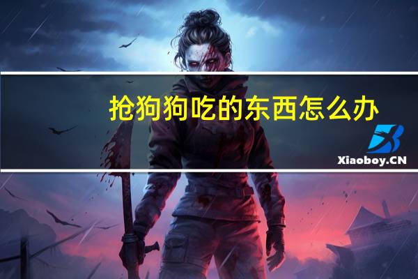 抢狗狗吃的东西怎么办