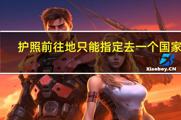护照前往地只能指定去一个国家吗