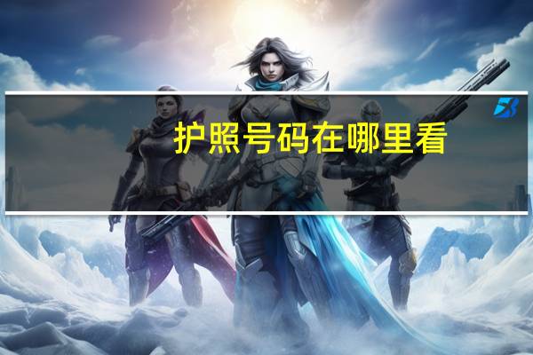 护照号码在哪里看