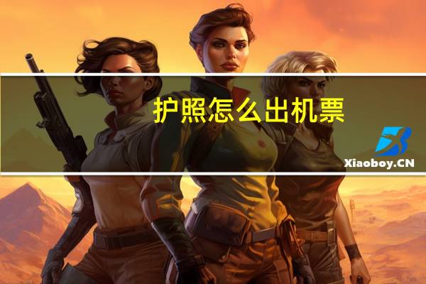 护照怎么出机票