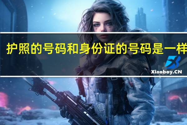 护照的号码和身份证的号码是一样的吗