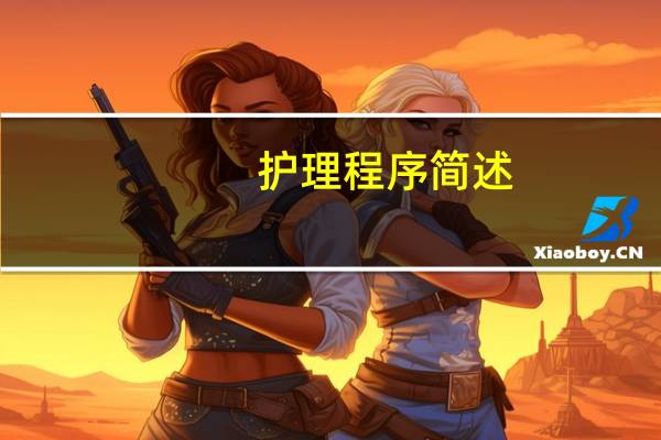 护理程序简述