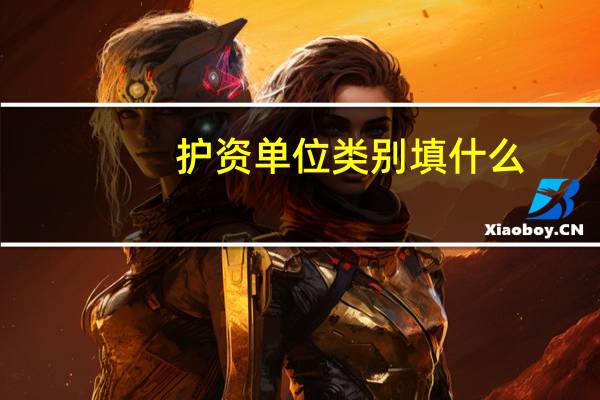 护资单位类别填什么