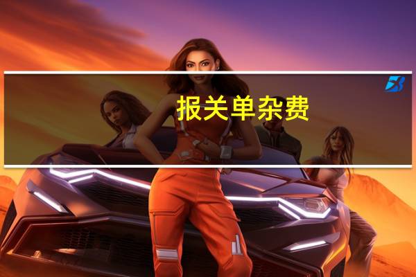 报关单杂费
