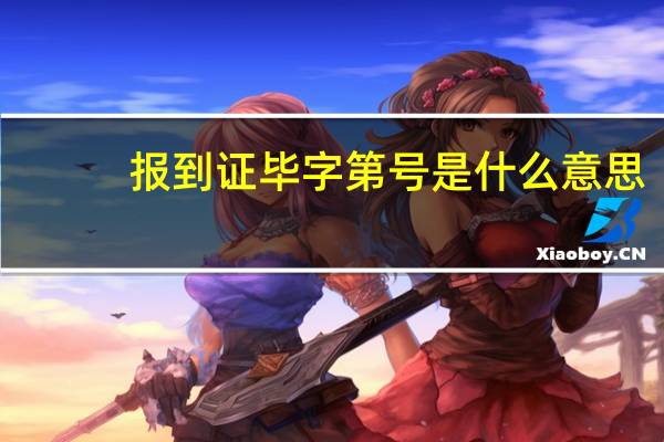报到证毕字第号是什么意思