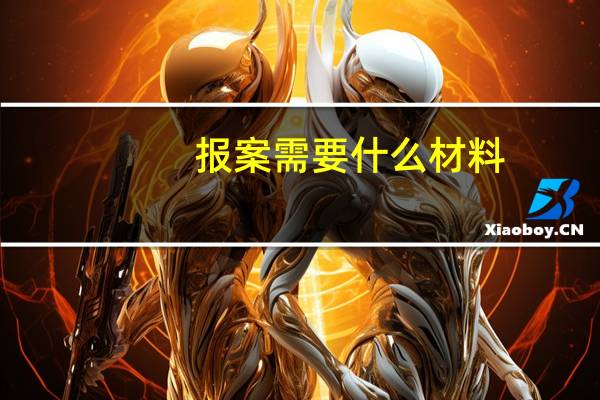 报案需要什么材料