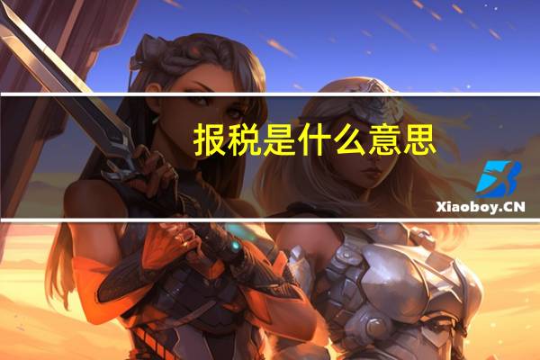 报税是什么意思