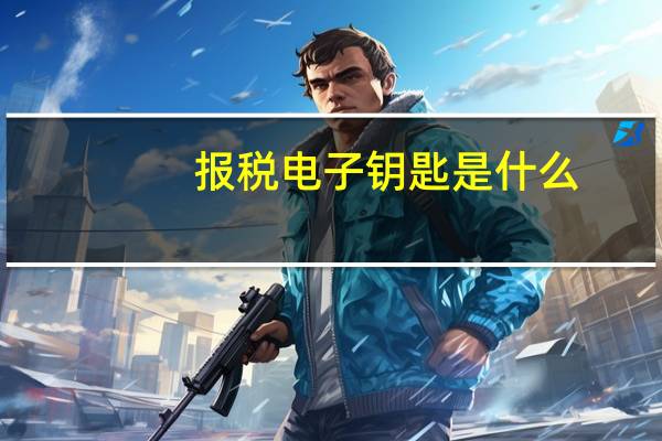 报税电子钥匙是什么
