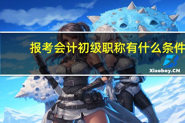 报考会计初级职称有什么条件