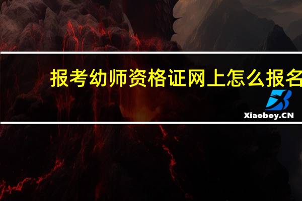 报考幼师资格证网上怎么报名
