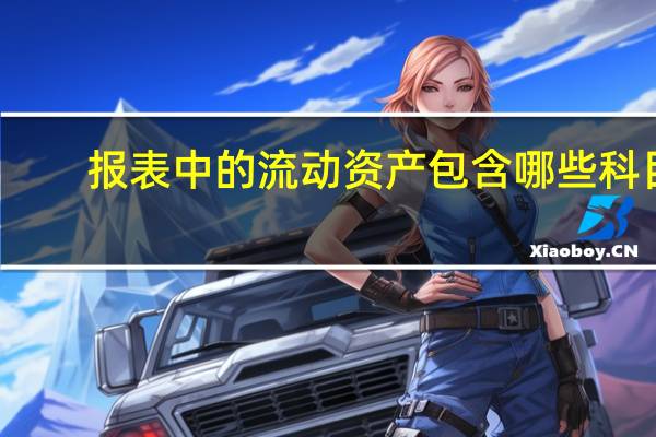 报表中的流动资产包含哪些科目