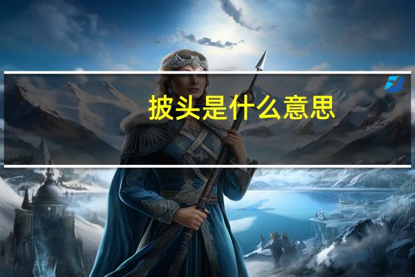 披头是什么意思