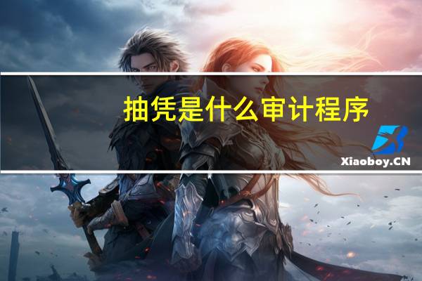 抽凭是什么审计程序