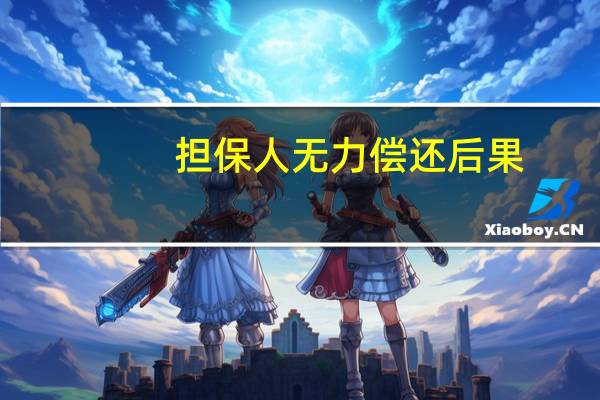 担保人无力偿还后果